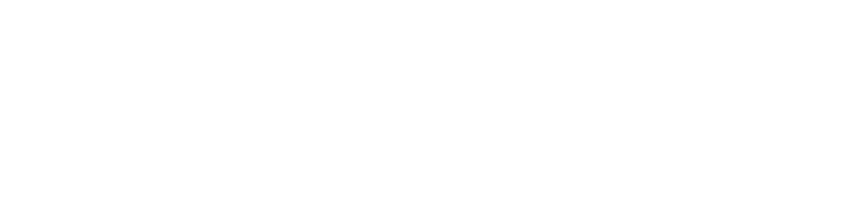 Renegade logo_WHT